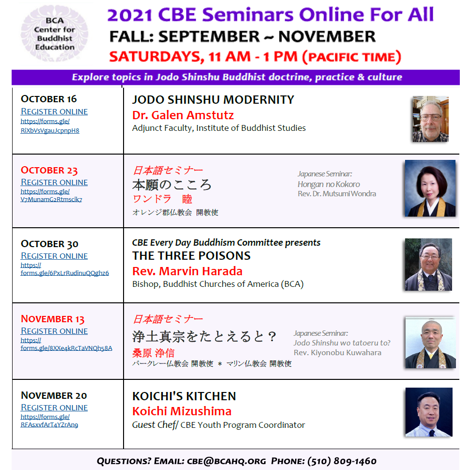 Seminars Online for All (SOFA) Through November from CBE