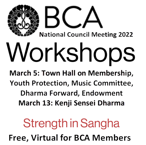 Free Workshops Part of BCA National Council Meeting