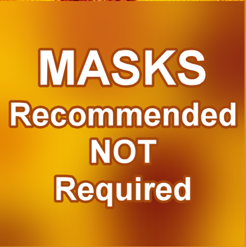 BTSD Relaxes Safety Protocols as of February 9