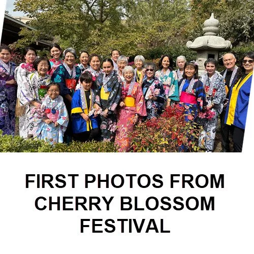 Send Us More Photos from JFG Cherry Blossom Festival