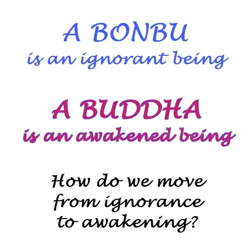 LAST BASIC BUDDHISM: Bonbu to Buddha, Tonight, Zoom,  7 p.m.