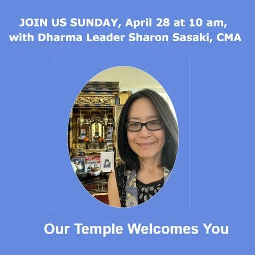  NOW WITH VIDEO: Sunday, April 28 at 10 a.m. for Buddha's Dharma