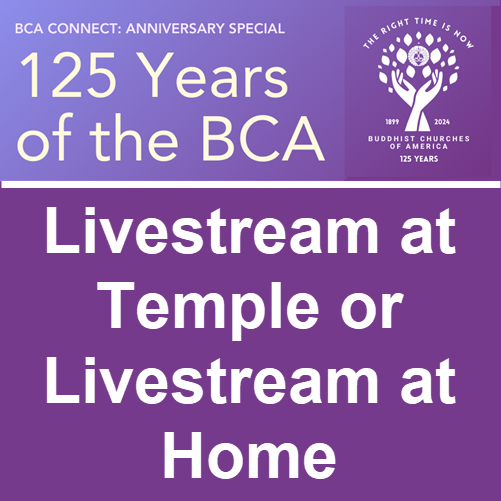 DON'T MISS! Two Different Ways to View Anniversary Service