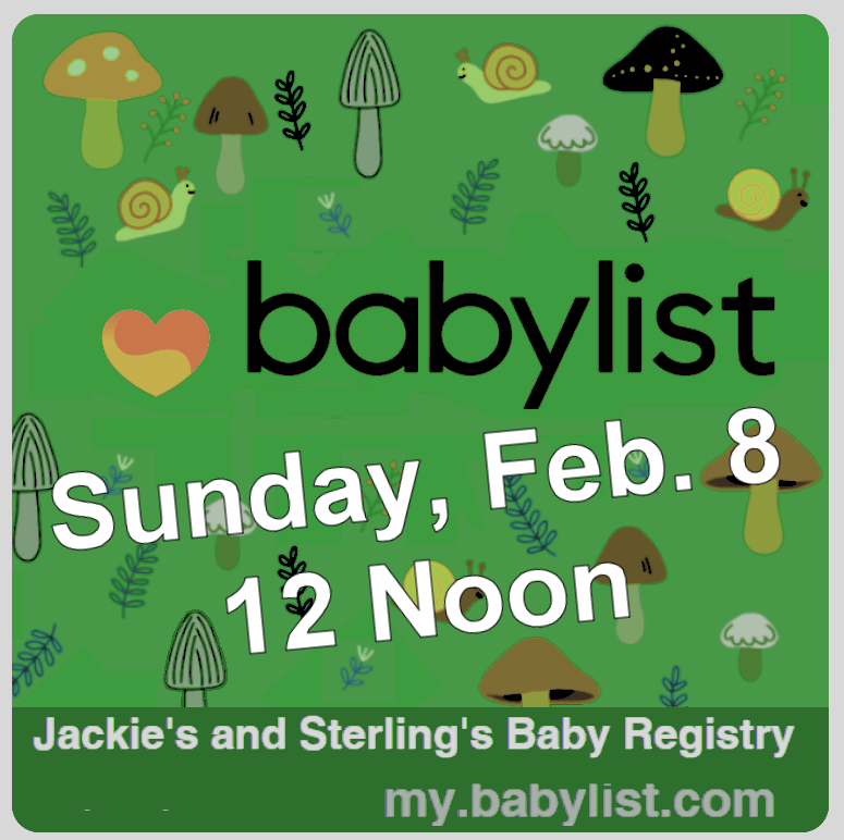BWA Sponsors Baby Shower for Rev. Sterling and Jackie Davenport