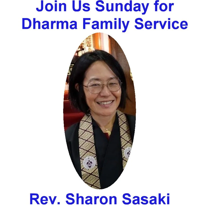 This Sunday, Feb. 22, Join Our Dharma Family Service