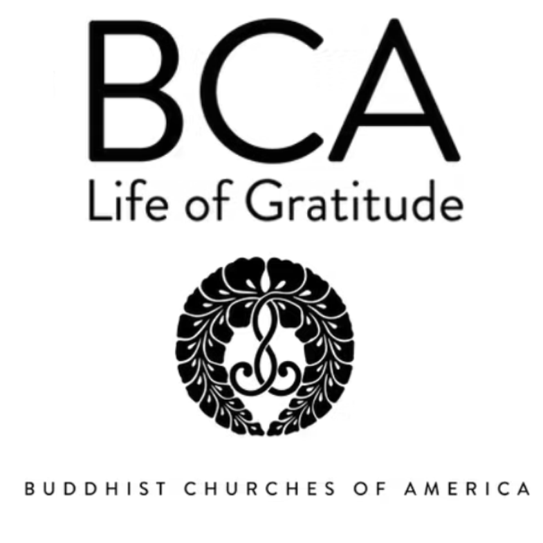 BCA Member Survey