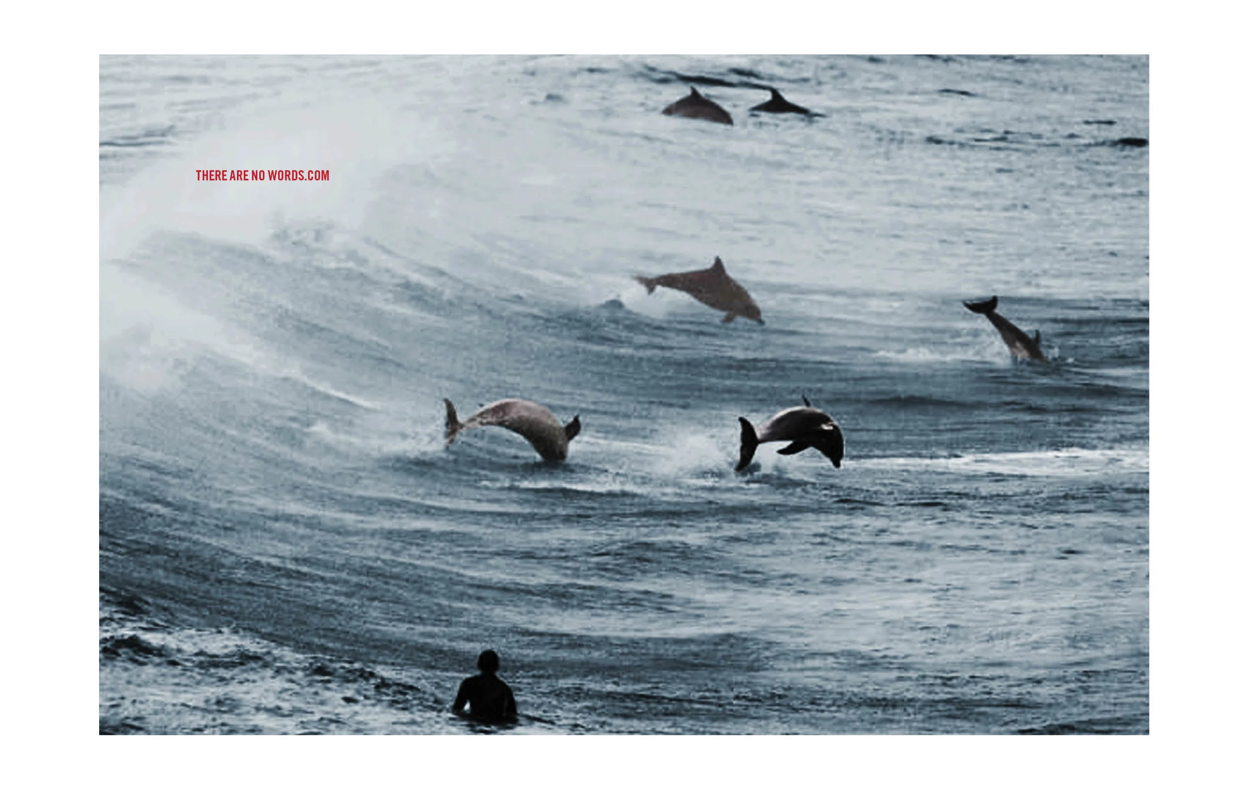 Quicksilver deck-1-there are no words-FINAL16.jpg
