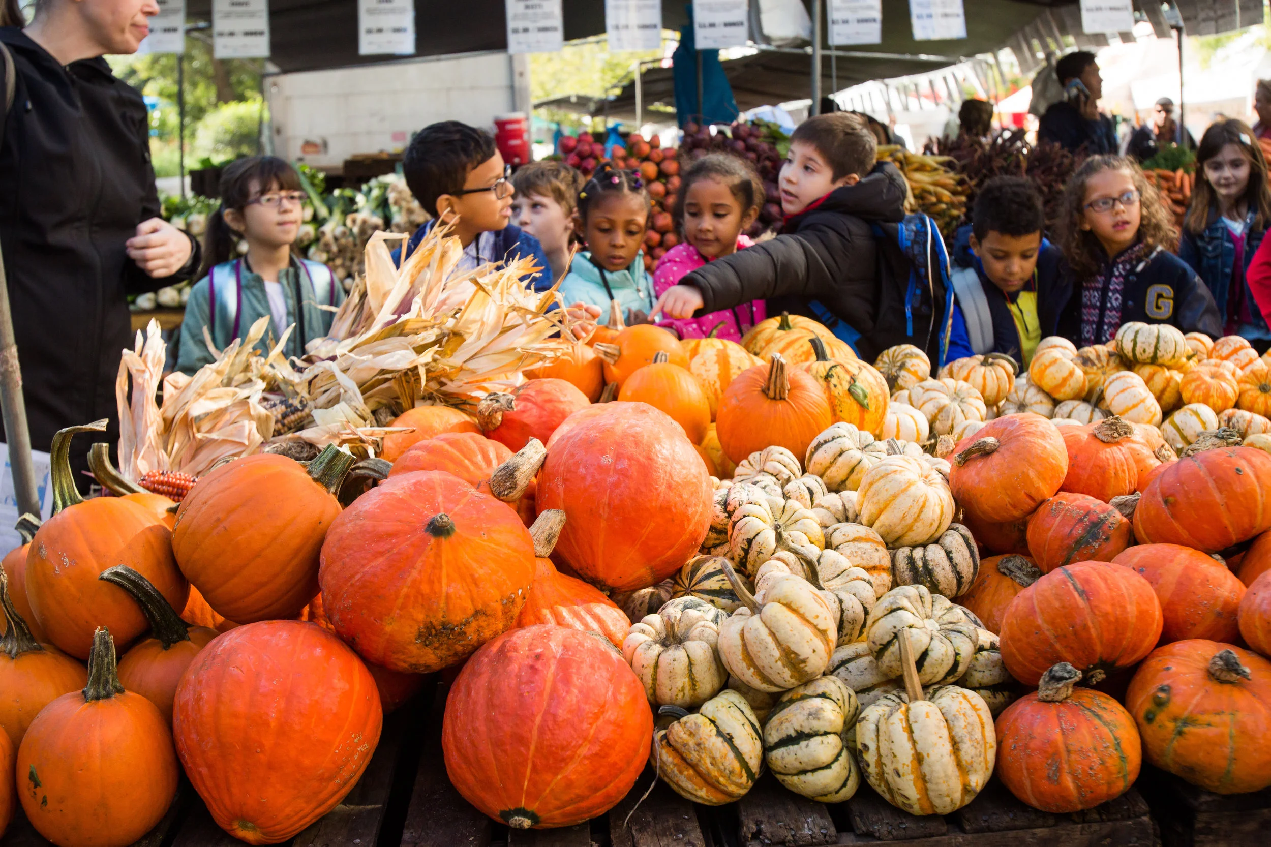 0017_USMarketPumpkins.jpg