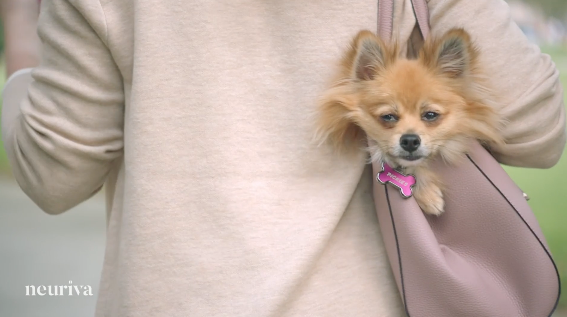 Screenshot 2025-11-19 at 11.52.13 AM.png