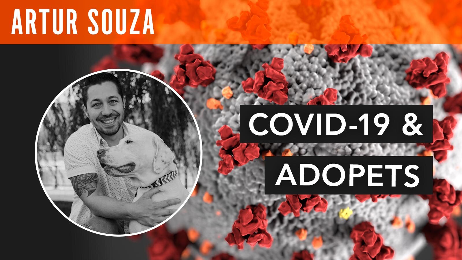 Artur Souza, "COVID-19 & Adopets"