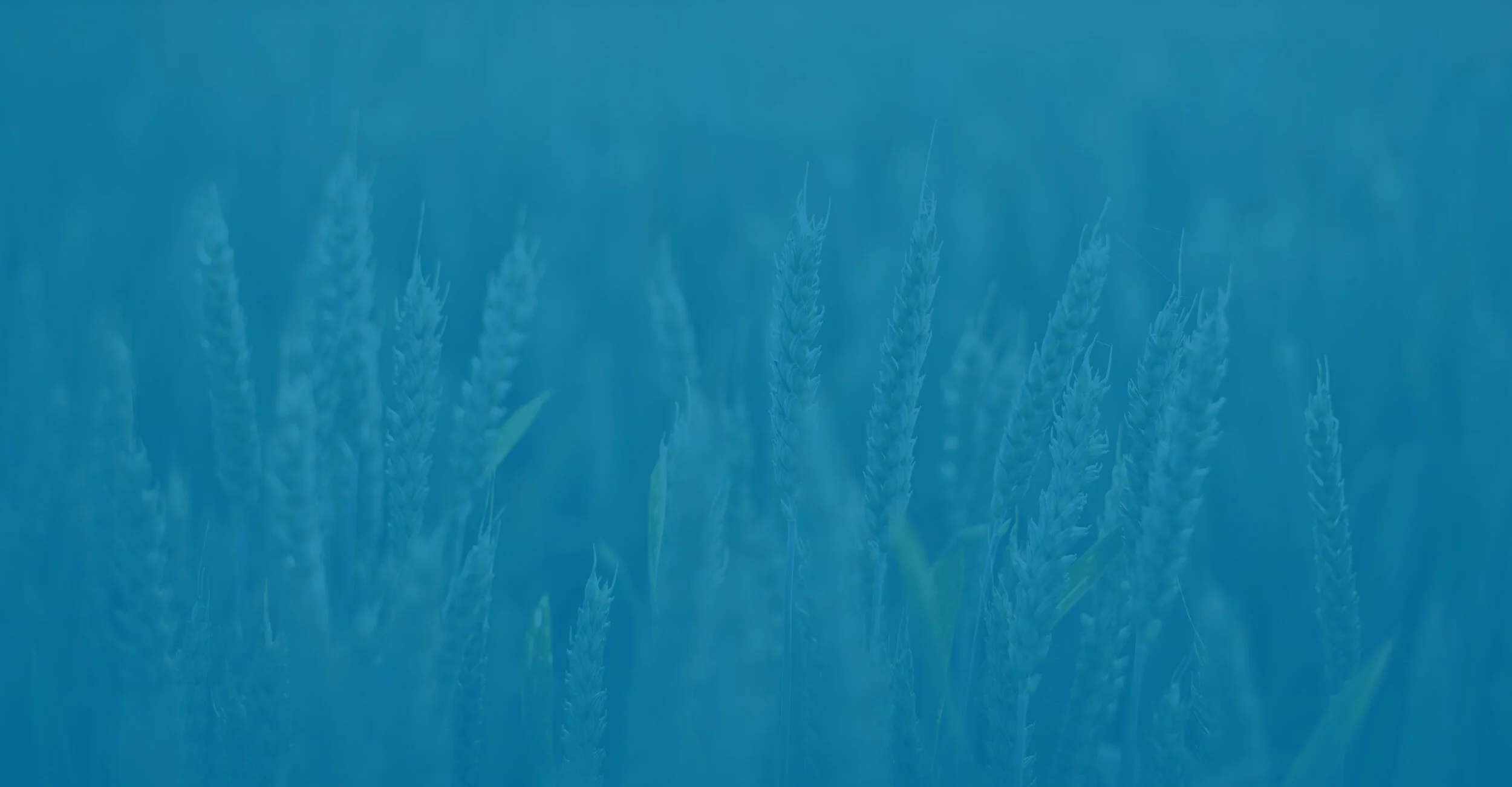 ODB-QDi-Header.jpg