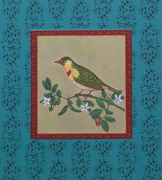 Antonia Munroe, A Crimson-throated Barbet, 2017 pigment dispersion on panel, 18 x 15”