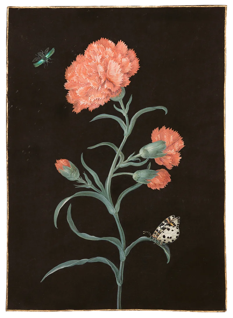 Barbara Regina Dietzsch