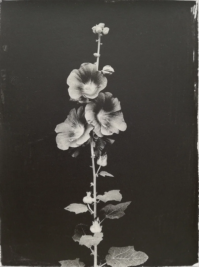 Sachiko Morita