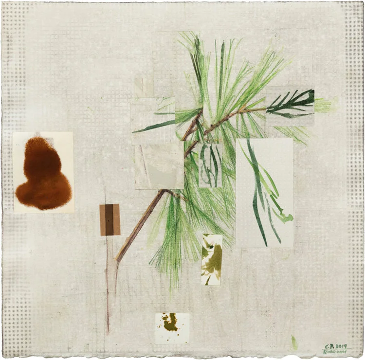 Carl Palazzolo