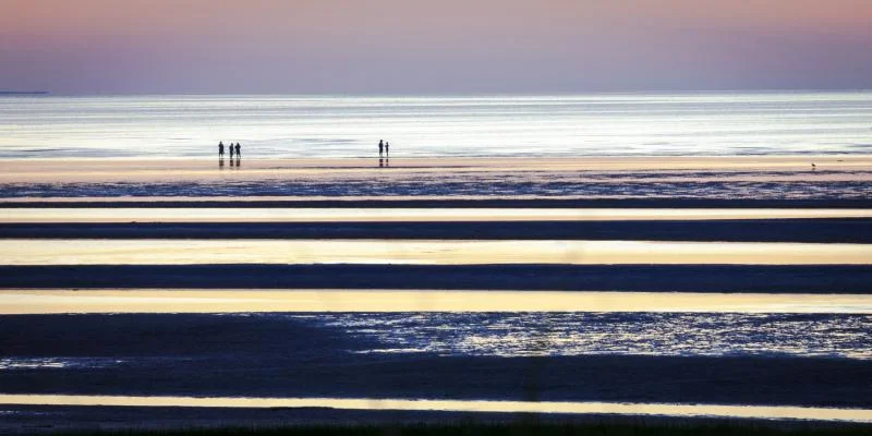 Tide Line