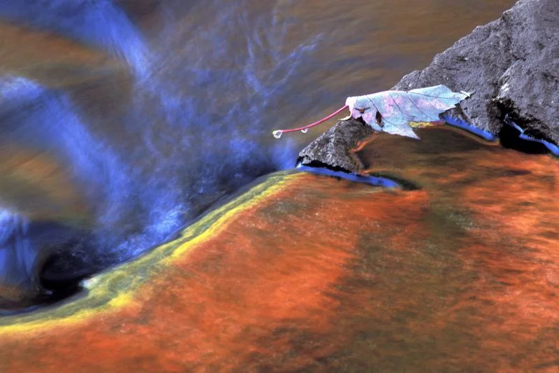 Swift River Reflections #2