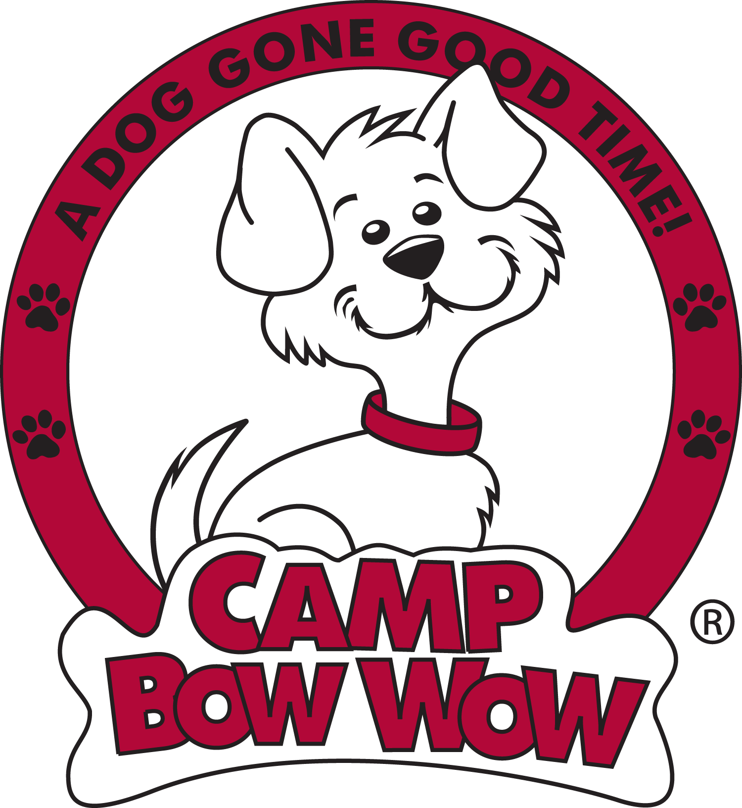 Camp Bow Wow Coppell