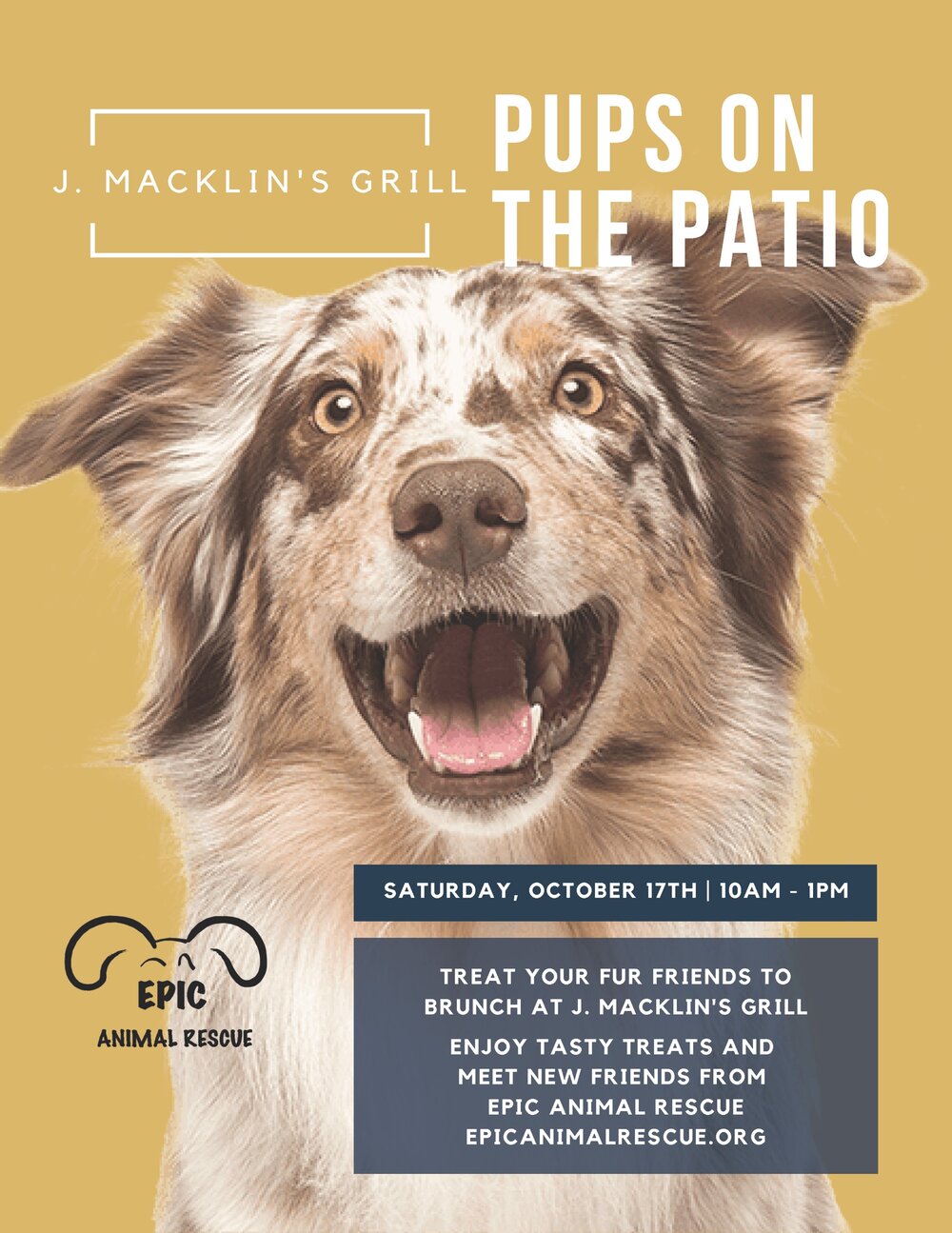 J' Macks Brunch Pups on the Patio — Epic Animal Rescue