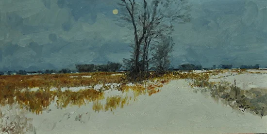 Snow Blanket