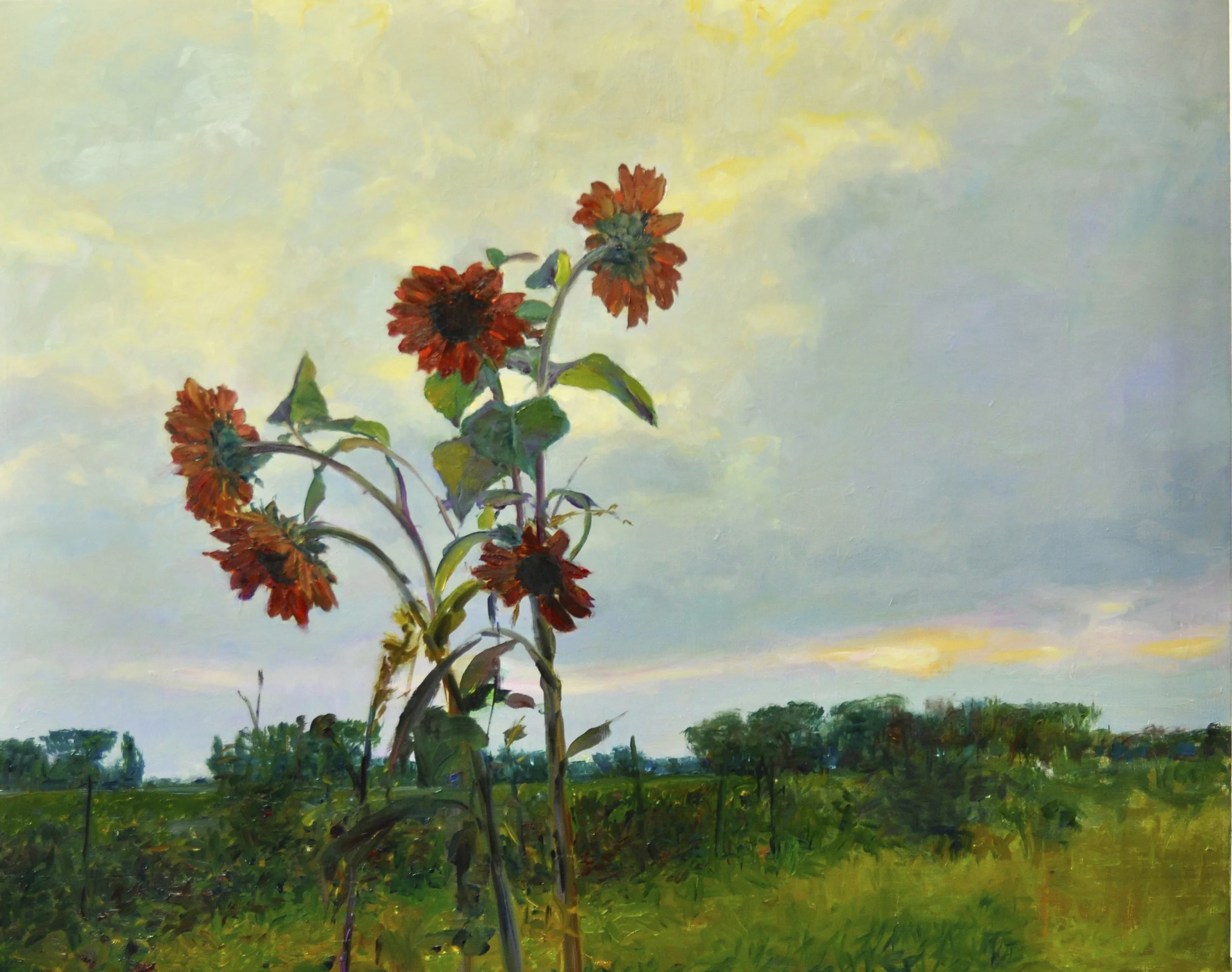 Sunflowers Colors 24x30, O:C.jpg