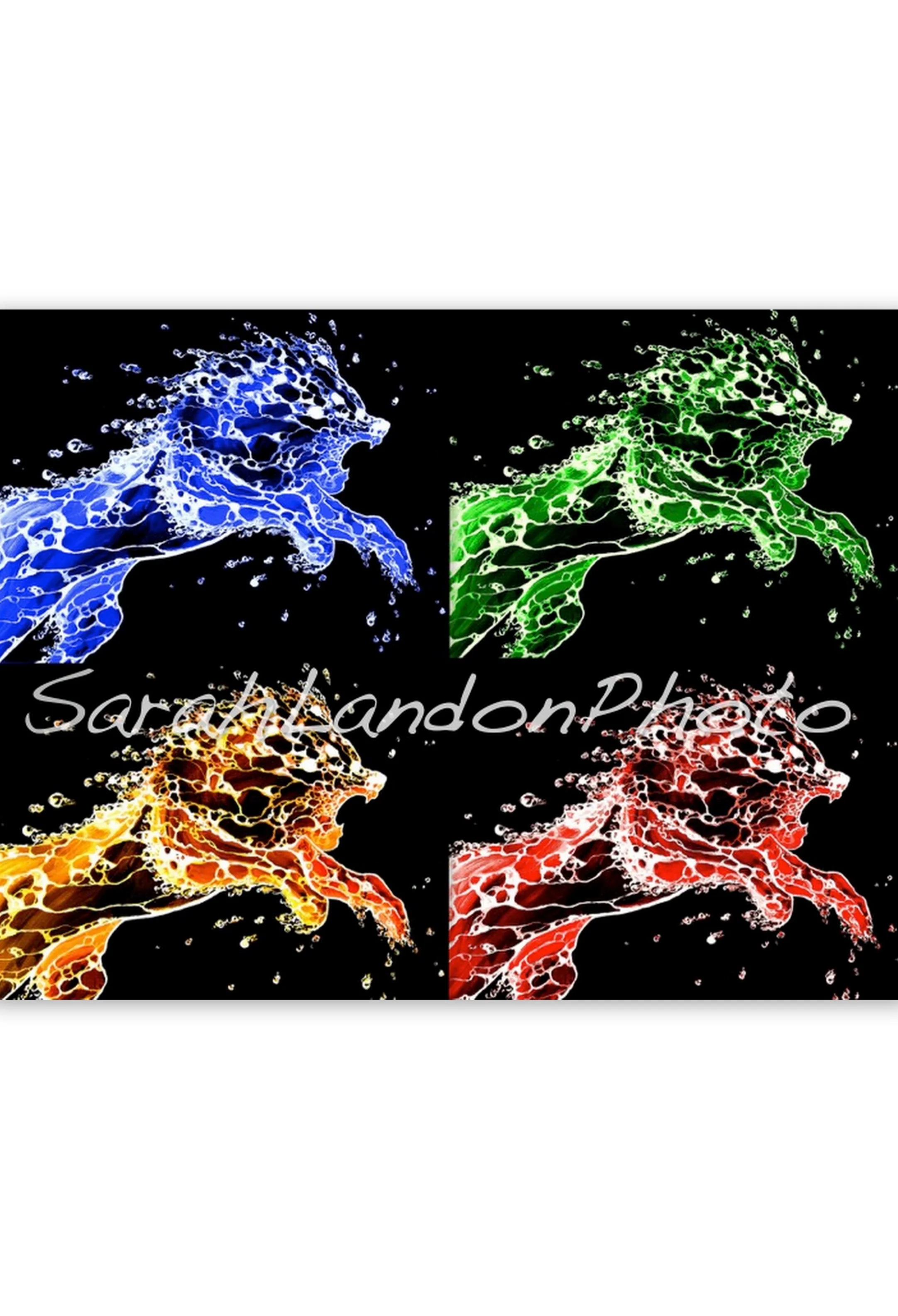 Multi-Color Splash Of Lions - Print
