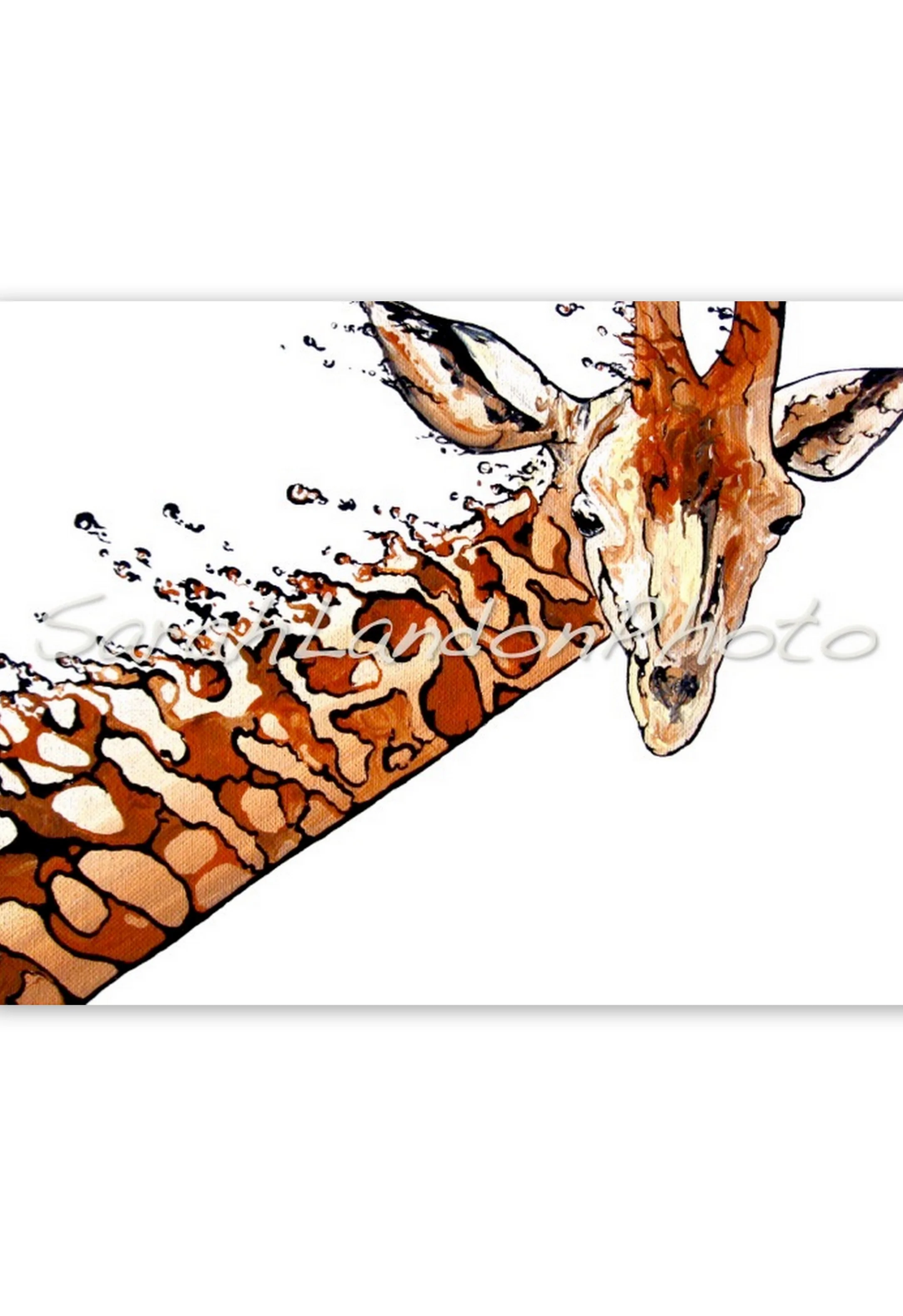 Giraffe Splash - Print