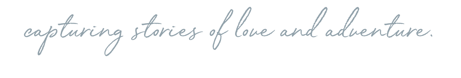 banner2.png