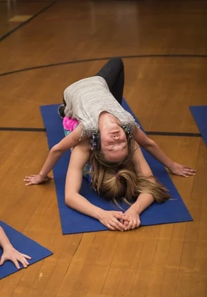 Lizard on a Rock&nbsp;