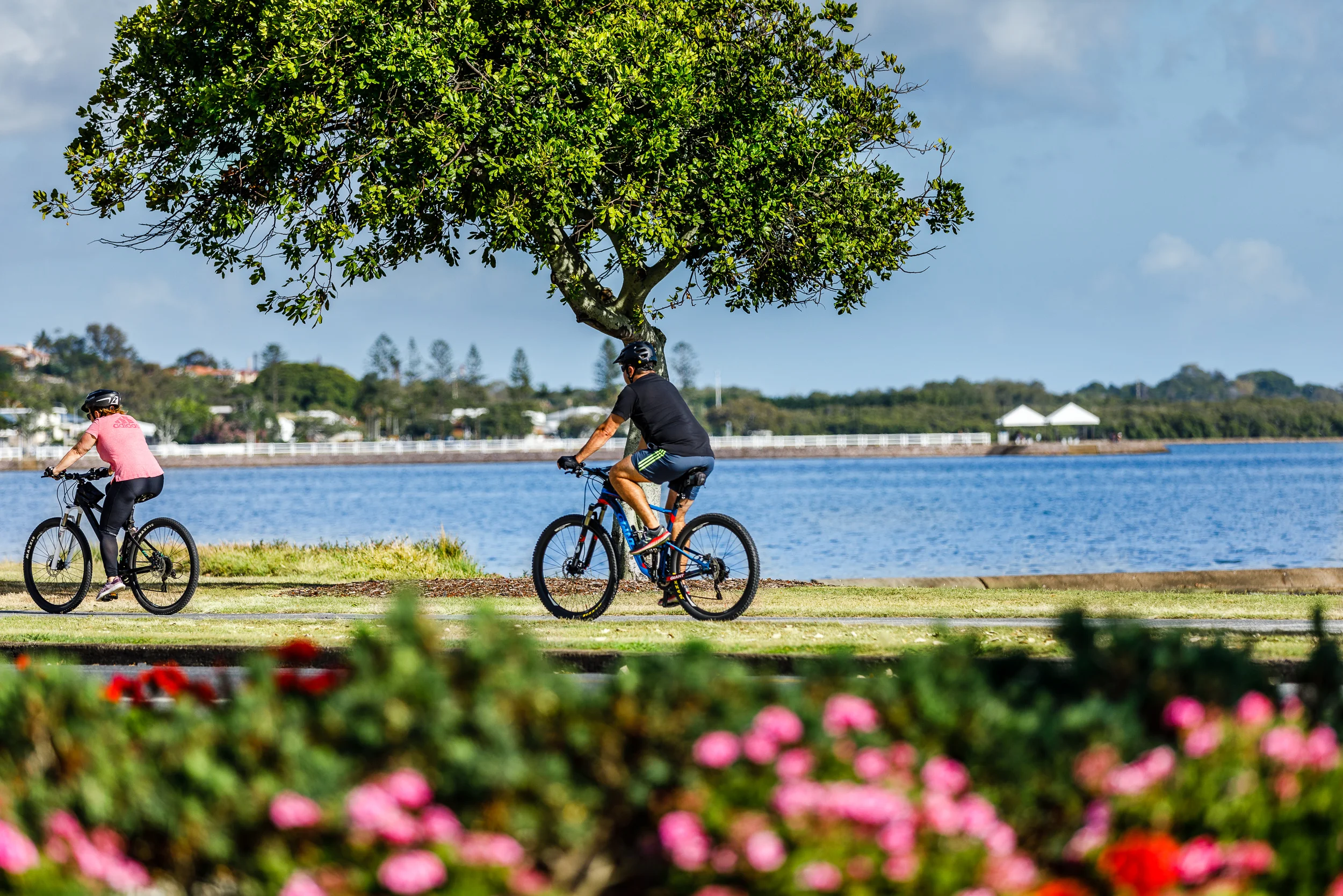 Wynnum Manly Foreshore, Pandanus Beach 2019