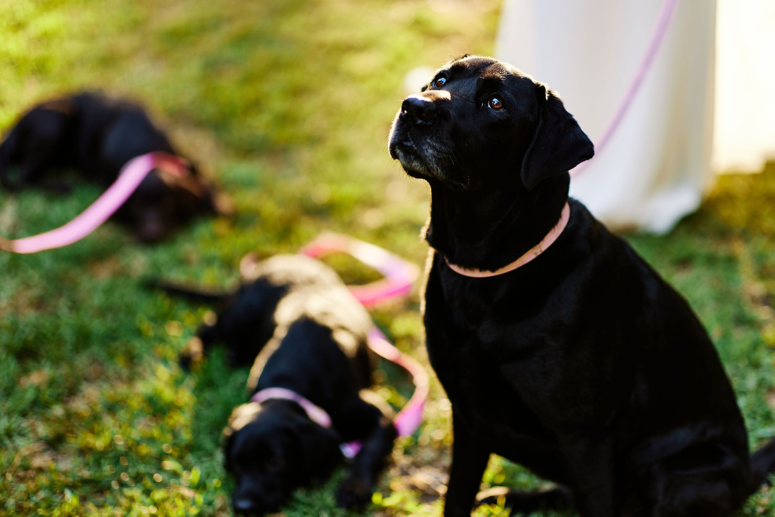 0A7A4588-CHRISJACKPHOTOGRAPHY.jpg