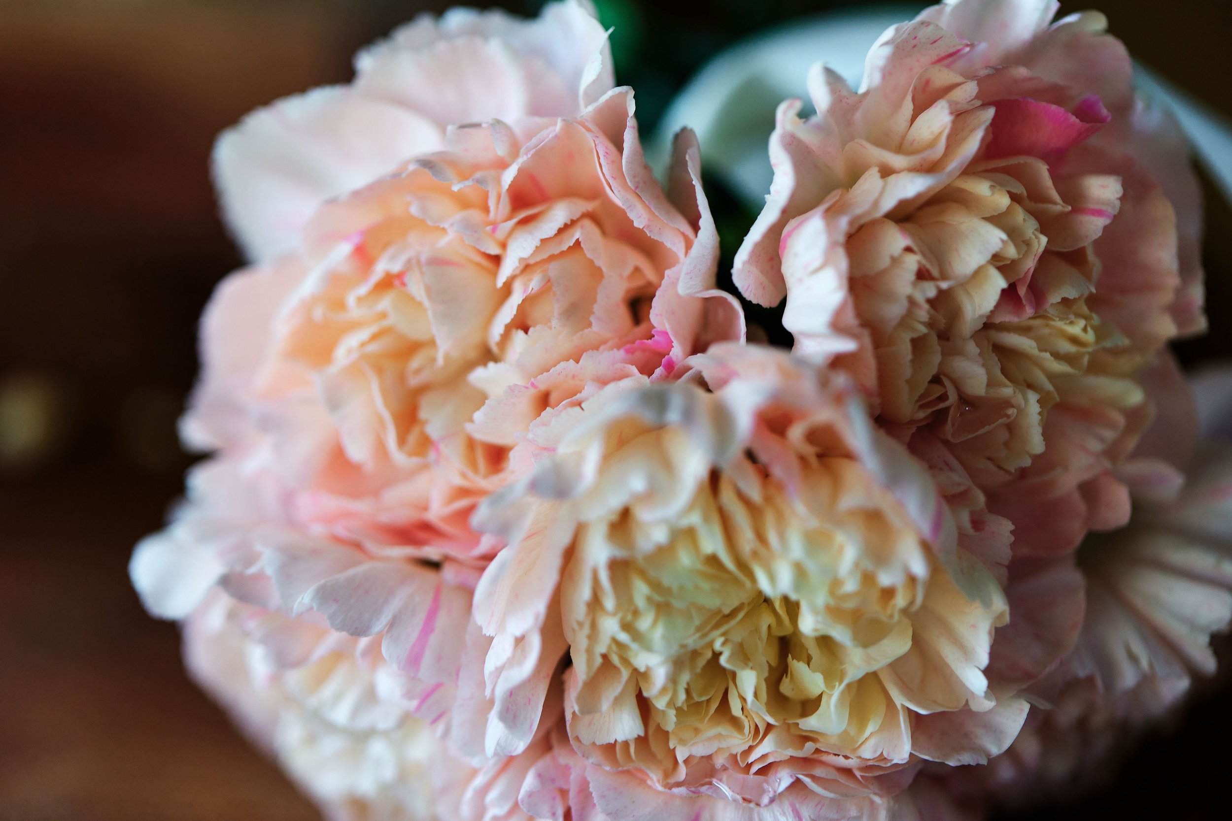 011A1885-CHRISJACKPHOTOGRAPHY.jpg