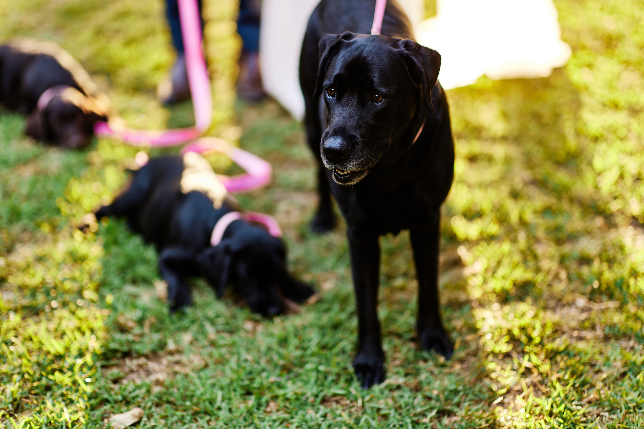 0A7A4551-CHRISJACKPHOTOGRAPHY.jpg