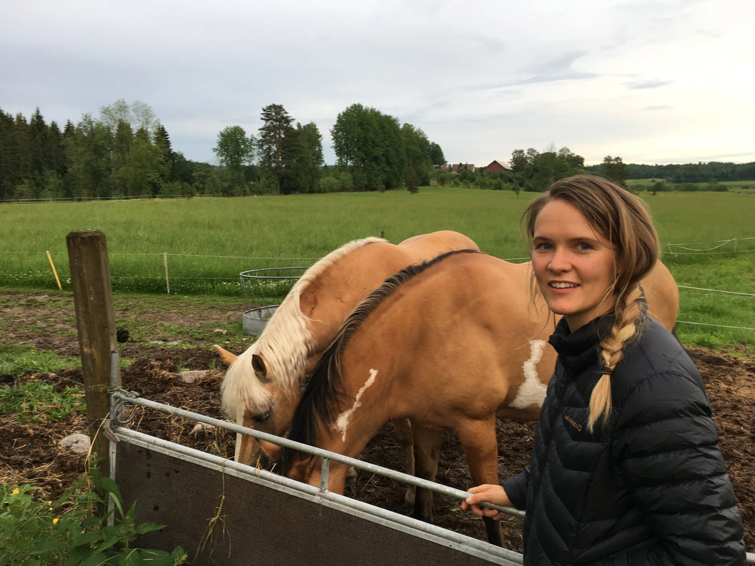 Wet and Winding Roads of Värmland