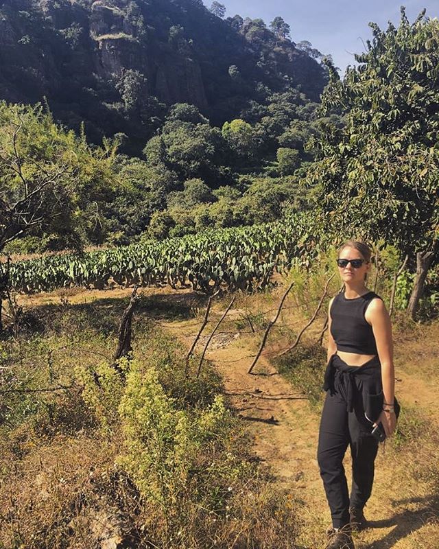 Hiking through nopal cactus farms in the mountains outside of Mexico City. 🌵☀️🏵
.
.
.
.
.
#Morelos #tlayacapan #Nopales #Cactus