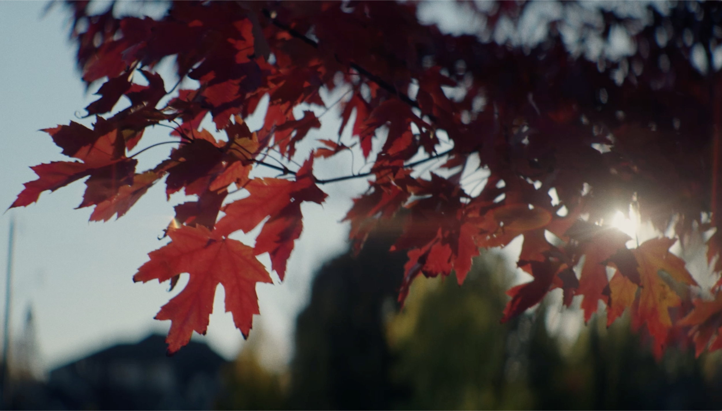 Screenshot 2026-03-23 at 2.00.18 PM.png