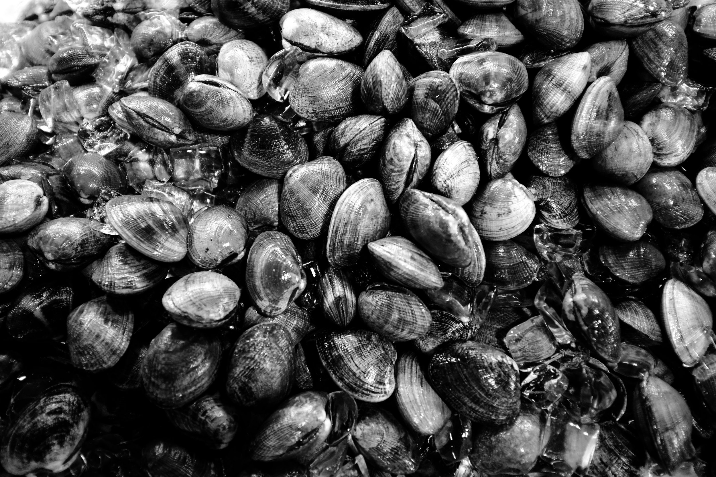 Mussels at the Chinatown market