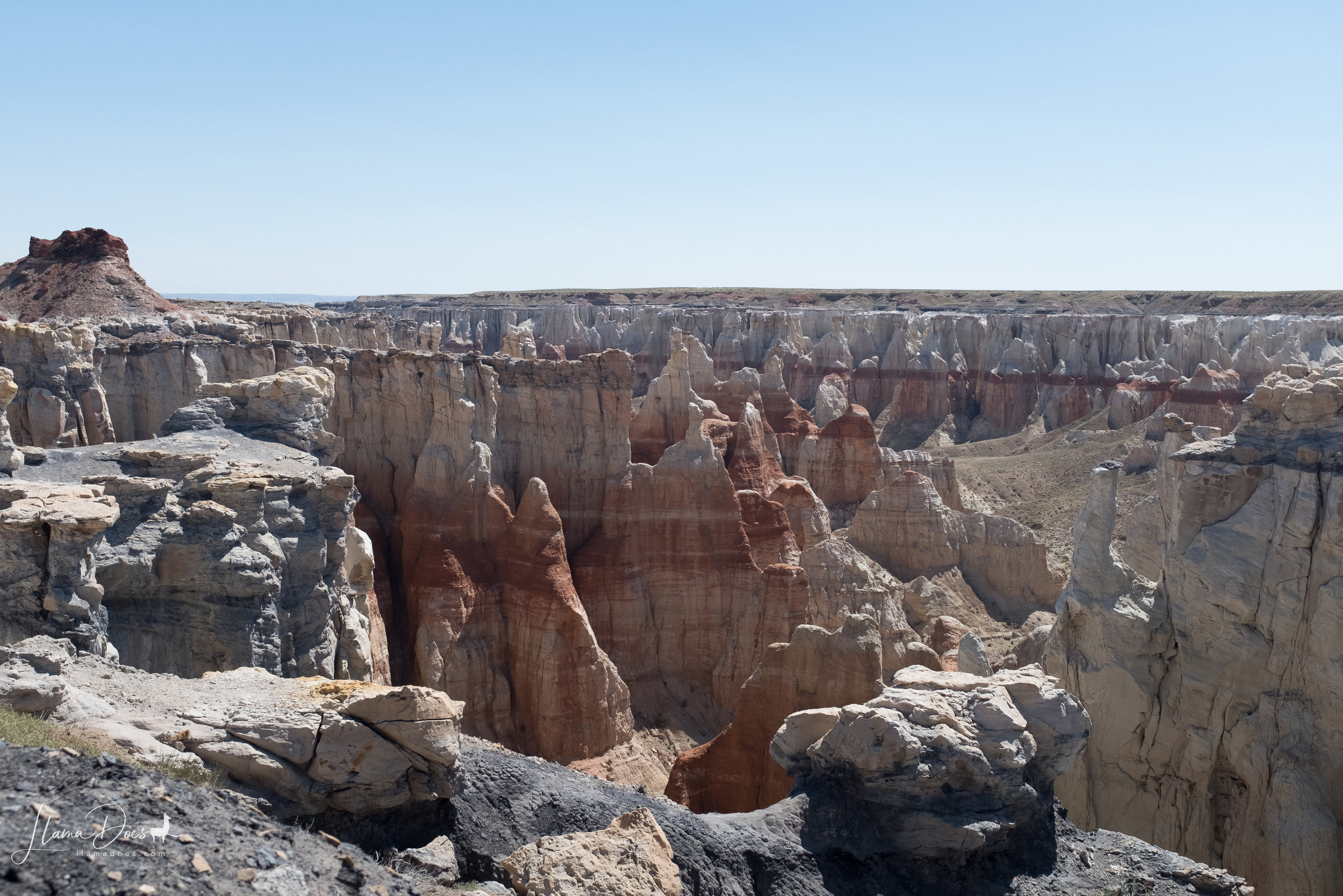 DSCF2683.jpg
