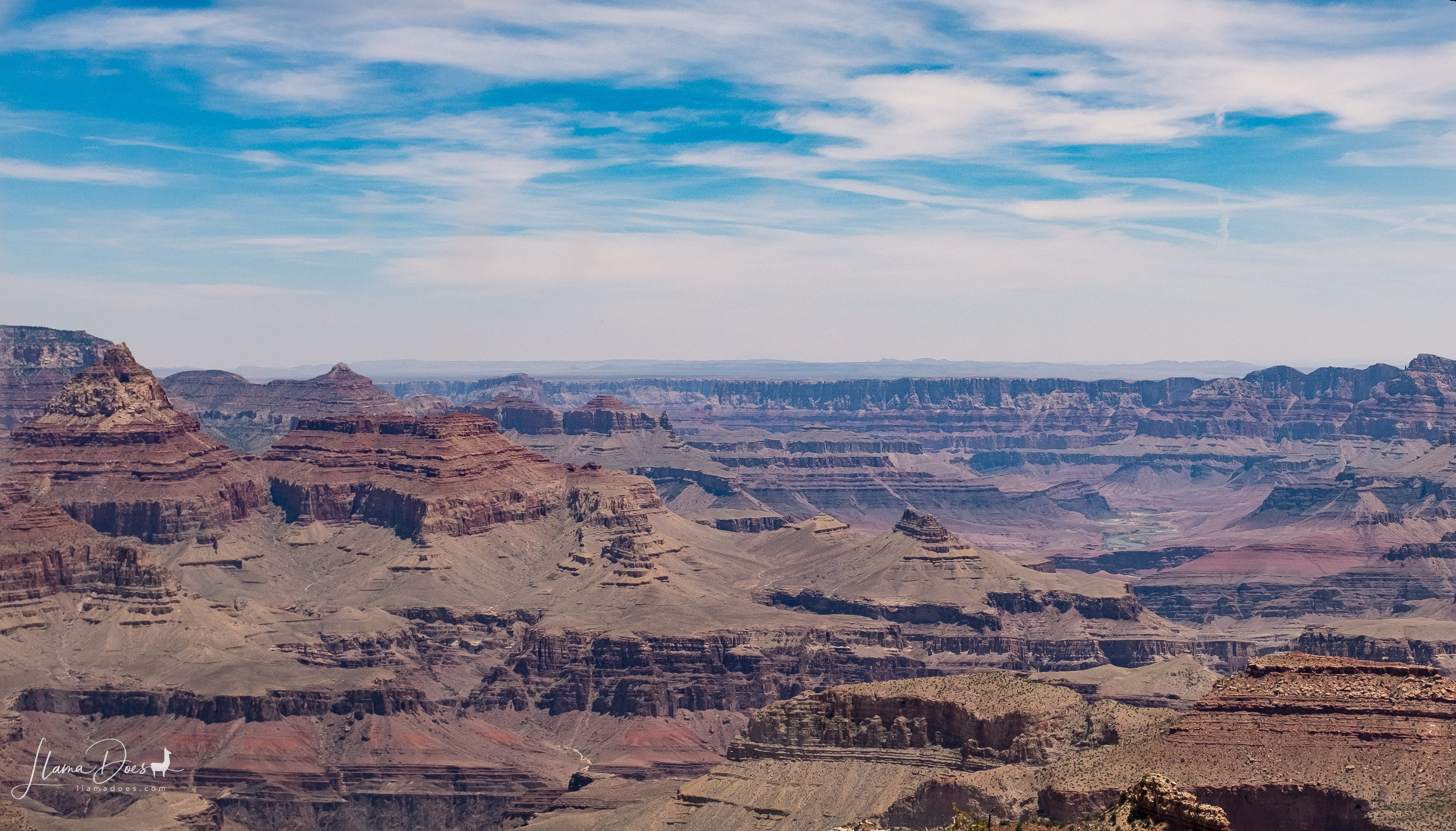 DSCF2618.jpg