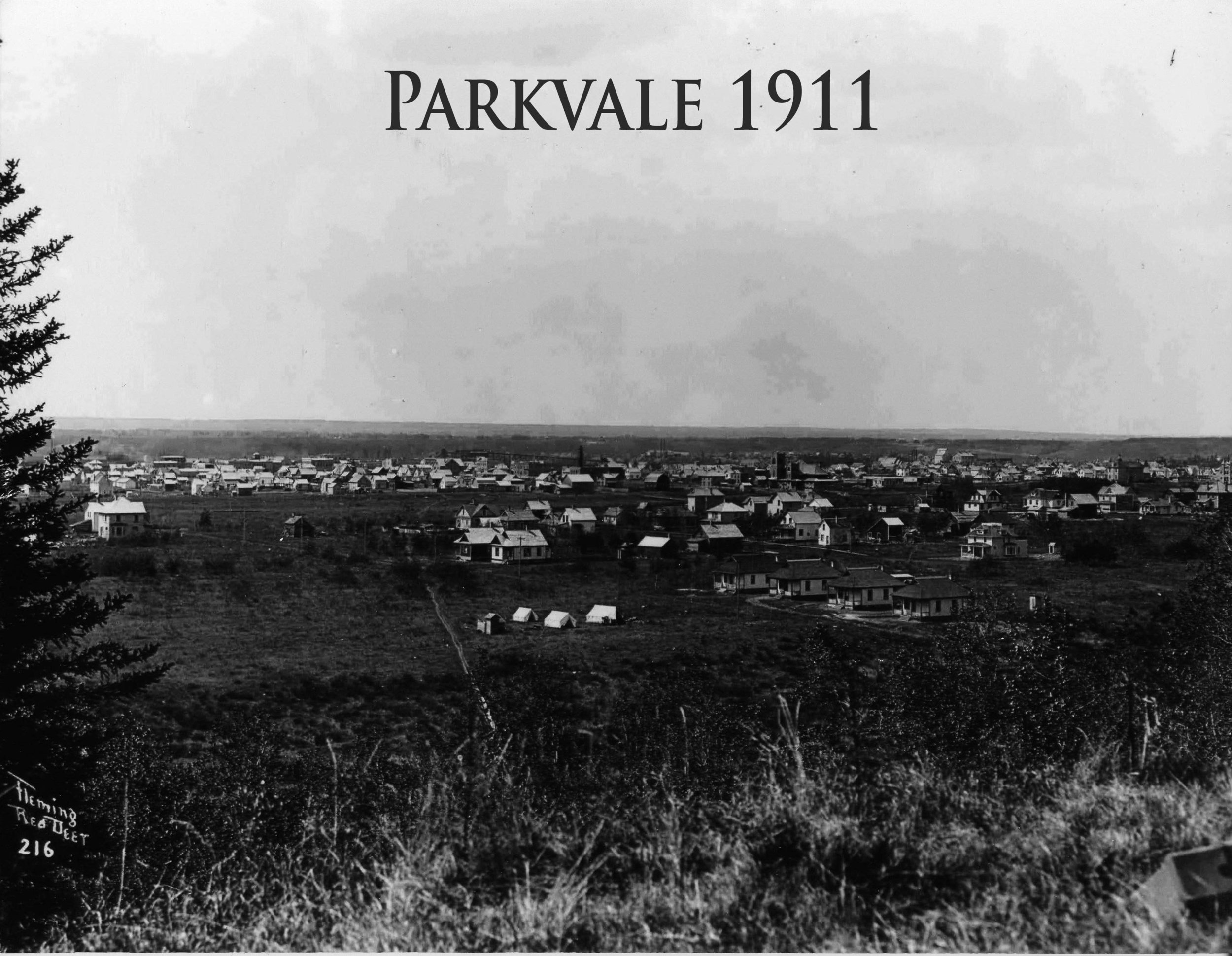 Parkvale 1911.jpg