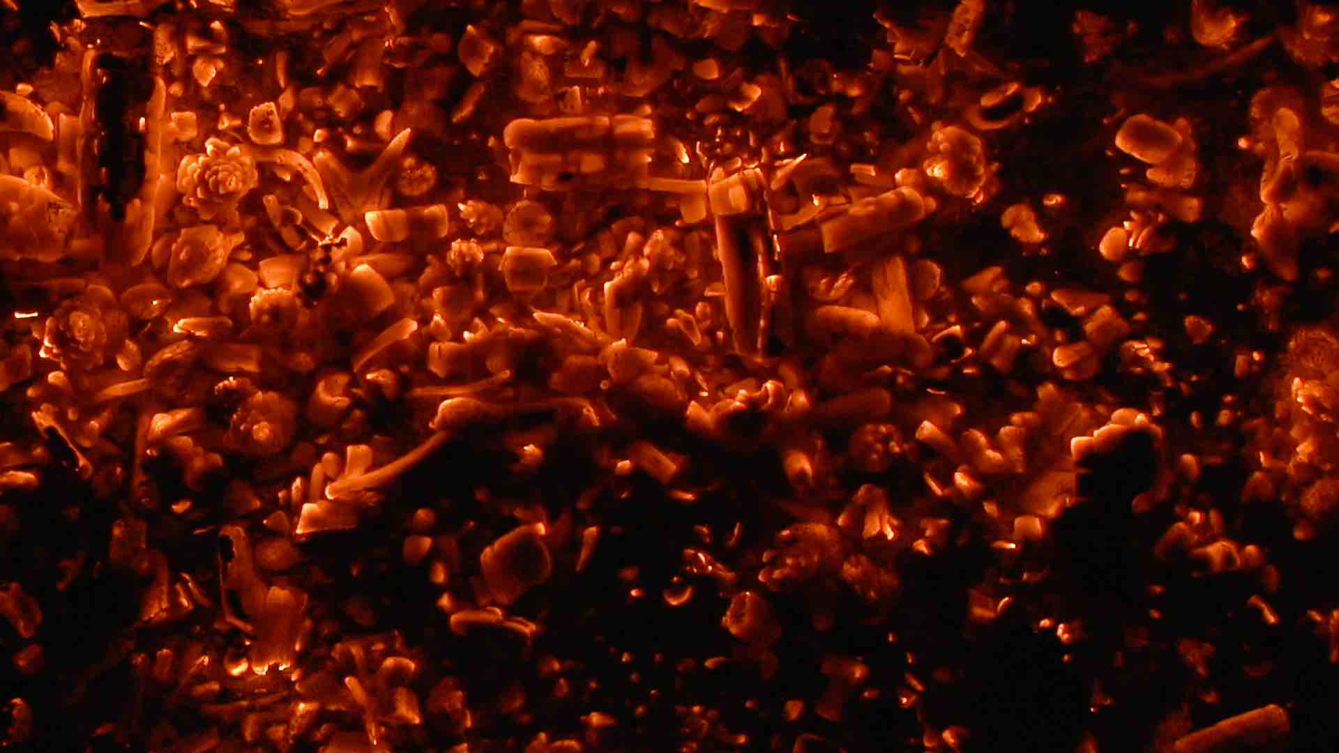 homepage-intro-video-poster.jpg