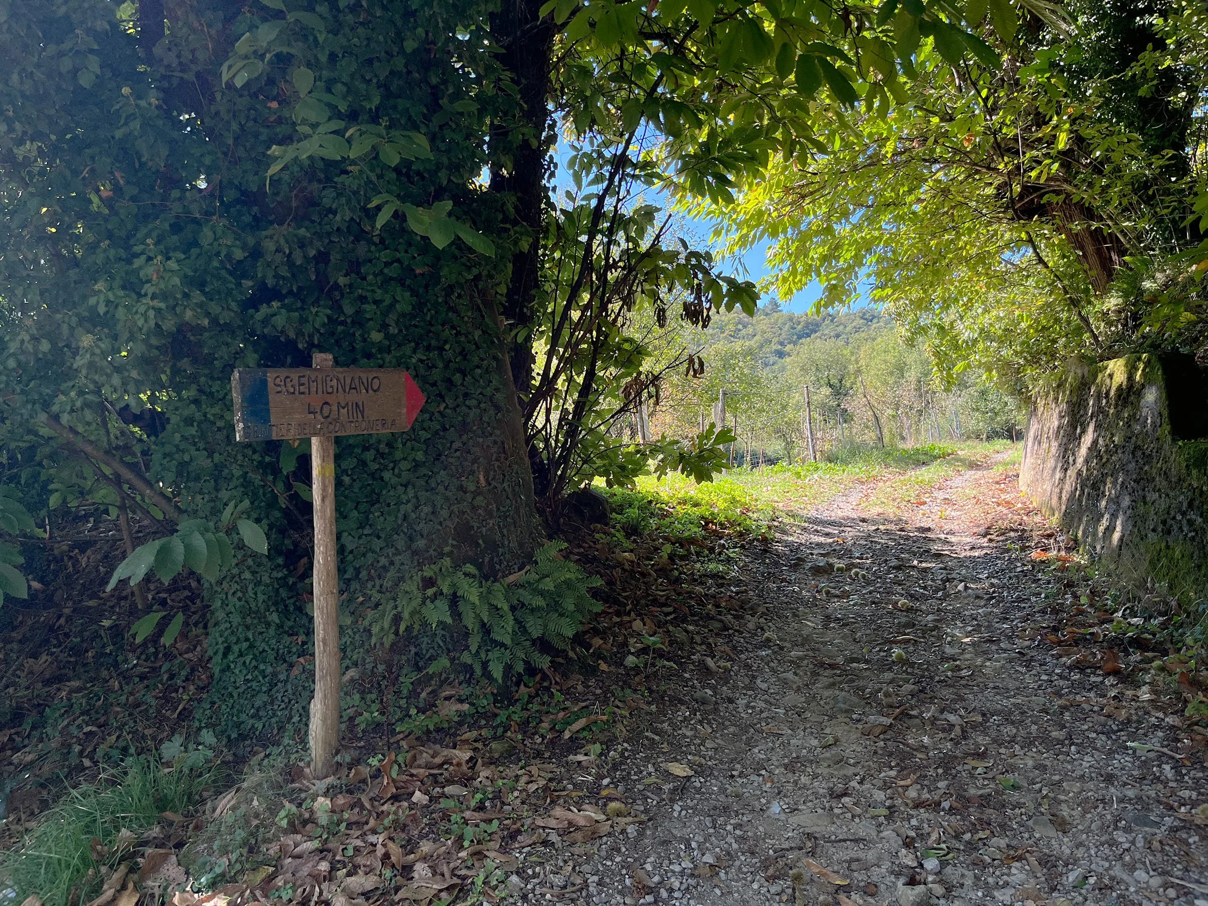 A trail with a signpost to San Gemingnano