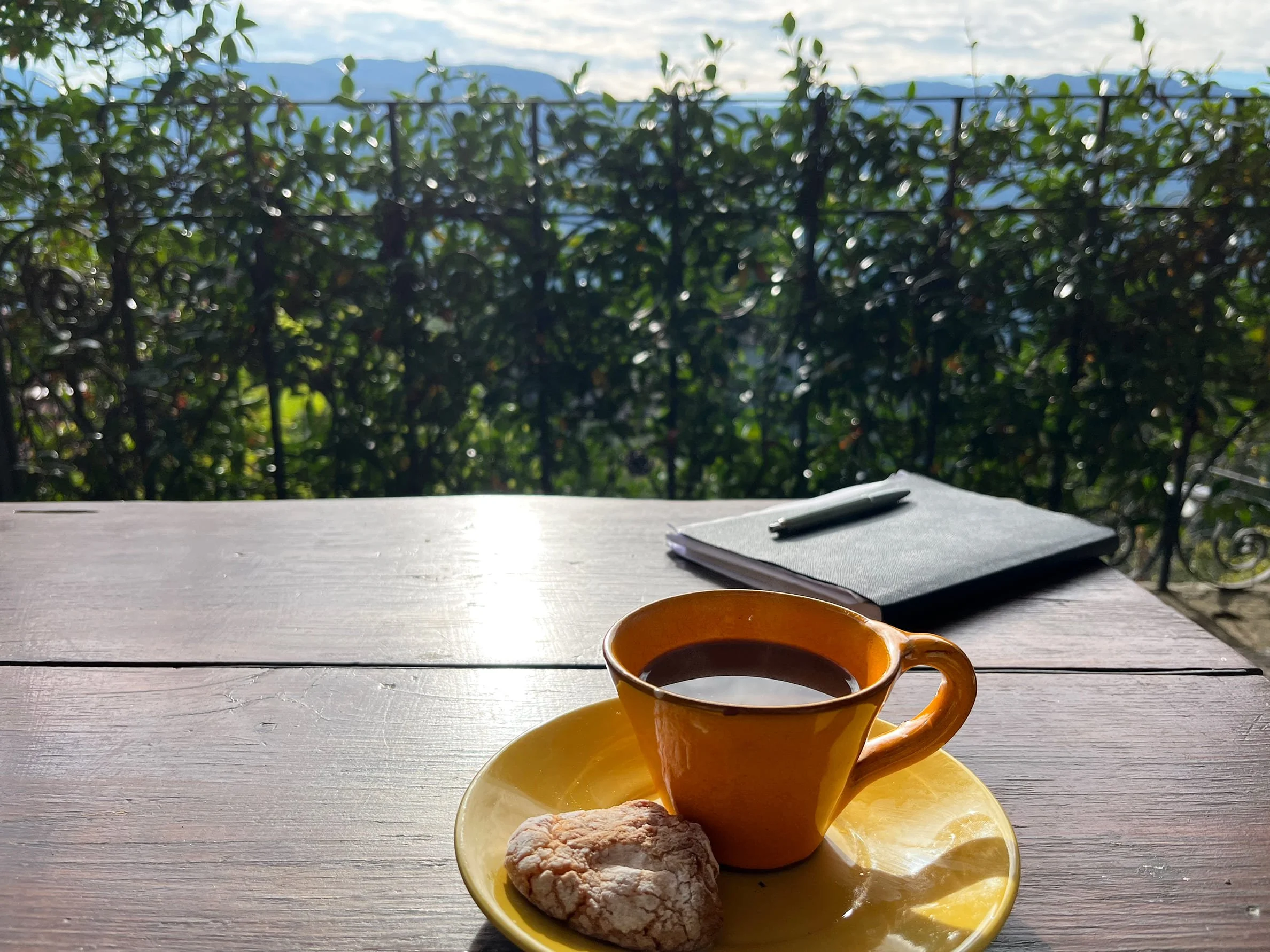 A coffee, biscuit and notebook on a table on a terrace