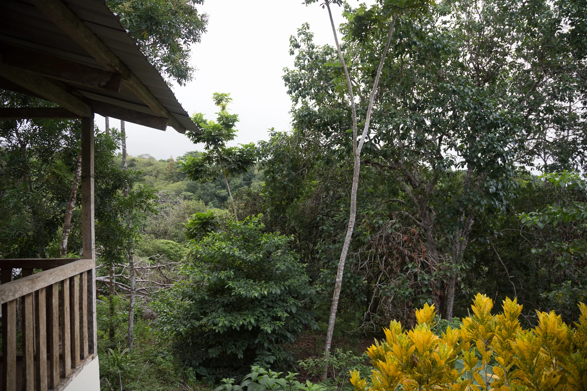 The view from our bunkhouse.