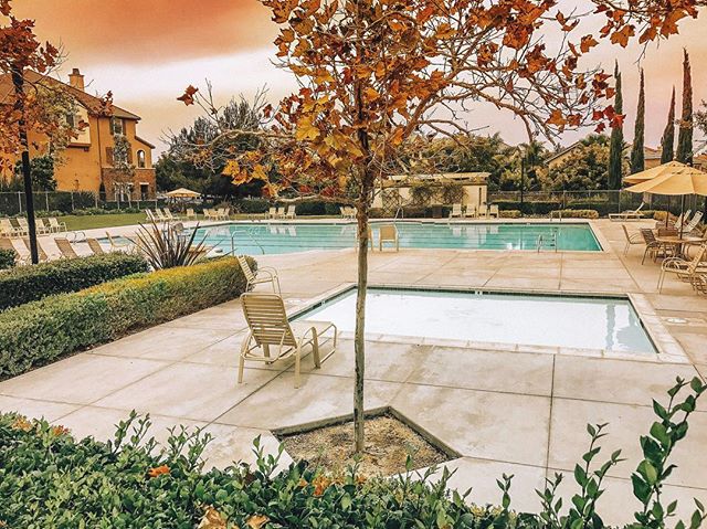 It&rsquo;s officially Fall in San Diego!
🍁
We&rsquo;re loving the cool breezes, warm drinks and fall leaves in our favorite town!
🍂
📷 by a 1 Stop Pool Pros #SanDiego team member on-site at one of our commercial community accounts in Otay Ranch and