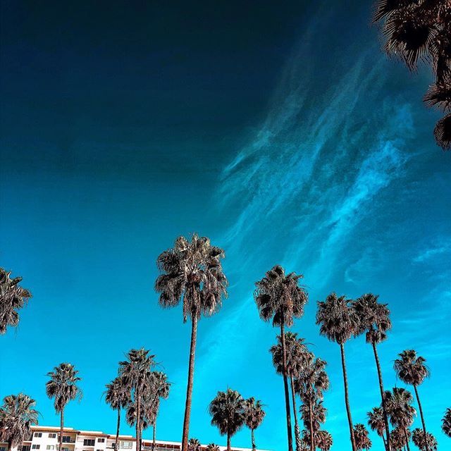 San Diego, we love you.
💙
☀️
🌴
🌊
📷 by 1 Stop Pool Pros #SanDiego on-site at one of our commercial accounts