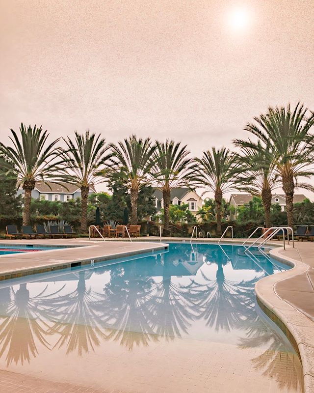 🌴🌴🌴 We love our commercial pool accounts!
🙌🏻
From luxury high-rise San Diego condominiums to beautiful planned housing communities,
big box national gyms to high-end hotels,
with over 19 years' of experienced craftsmanship we can build, remodel,