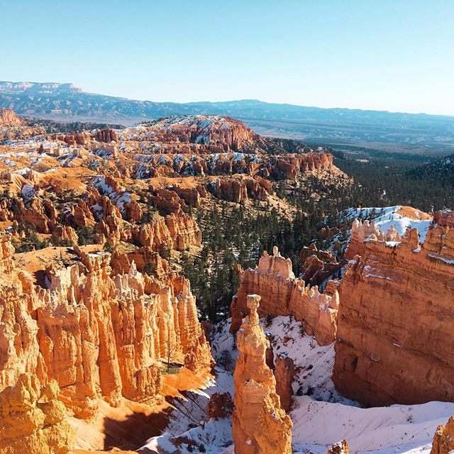 Happy Thanksgiving everyone, from the beautiful Bryce Canyon!! So grateful for the beauty and wonder that I live near!

@whitneyreneephoto #whitneyreneephoto #nature #naturephotography #brycecanyon #brycecanyonnationalpark #thanksgiving #givethanks #