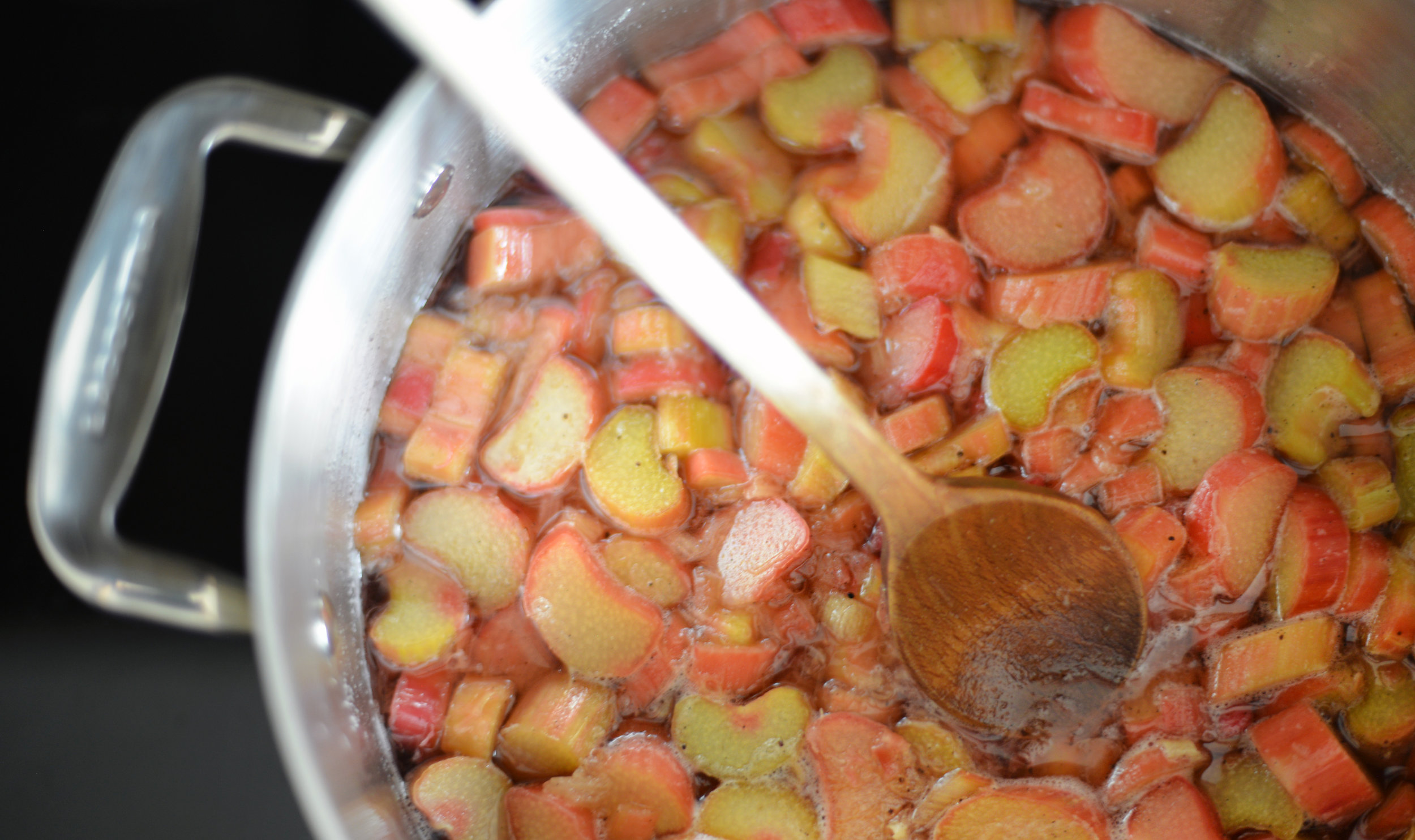 Rhubarb Syrup 3.jpg