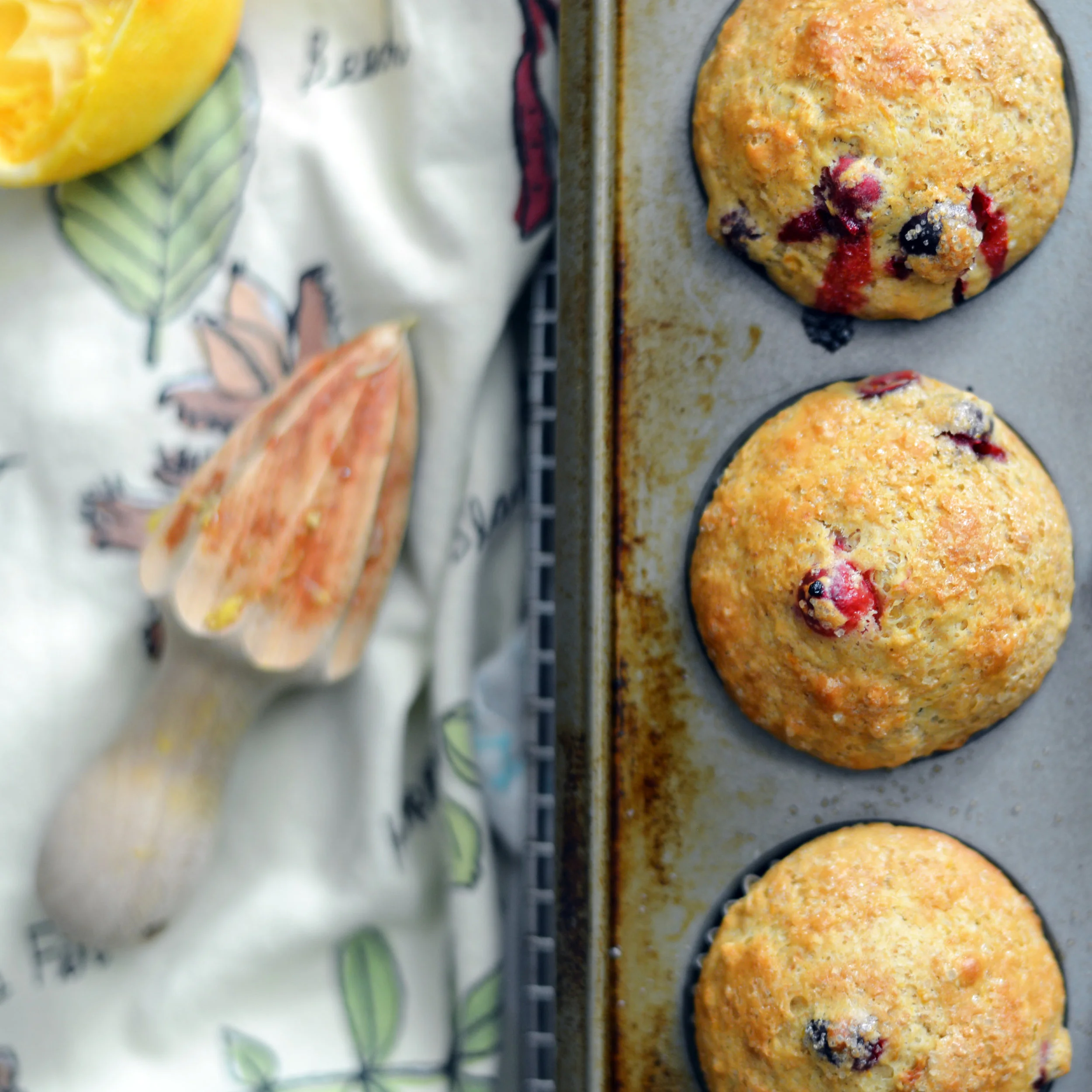 Cranberry Orange Muffins - Global Dish - Stephanie Arsenault